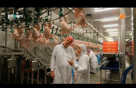 keuringsdienst van waarde halal kip